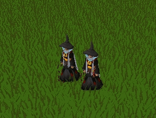 Werwar666 en Villermen questcape emote